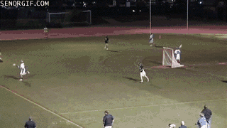 780a1233-a32e-43c6-ad9c-34658059f7ef.gif