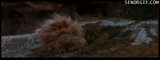 funny-gifs-fizzibang.gif