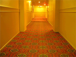 hall-race.gif