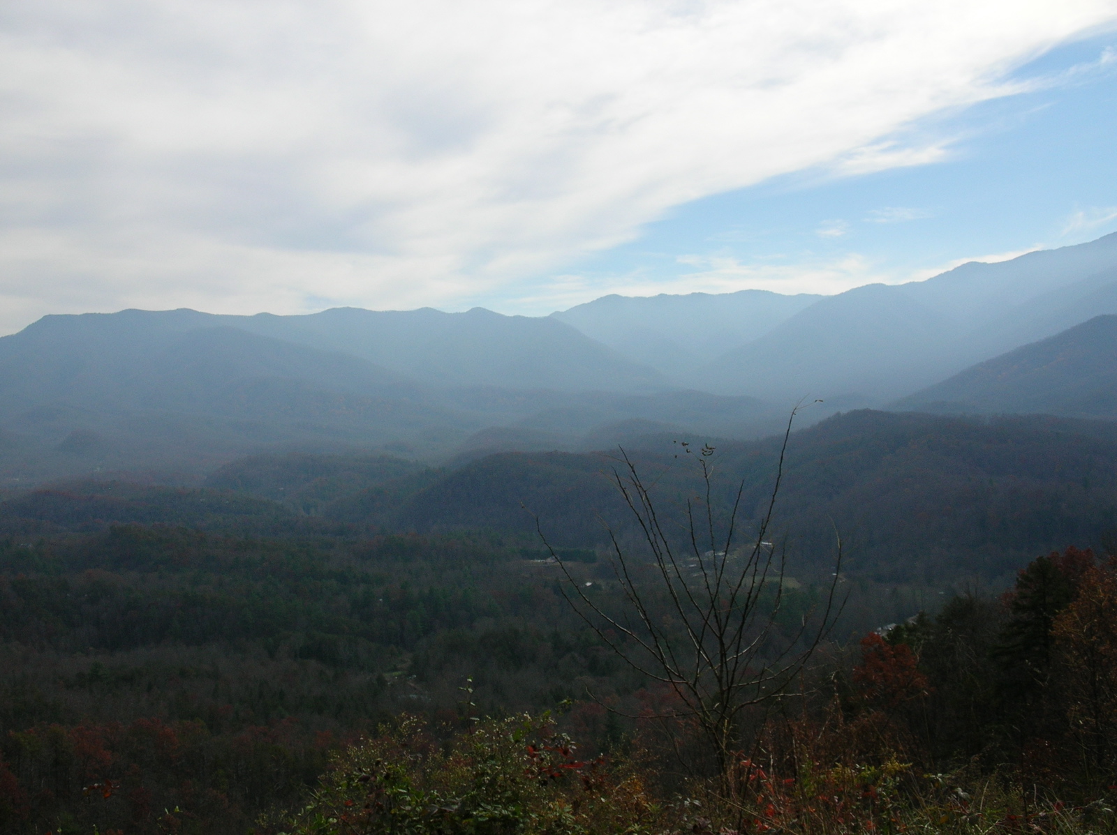 DSCN0945.JPG